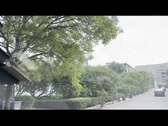 루틸-티타늄 이산화물의 파코리