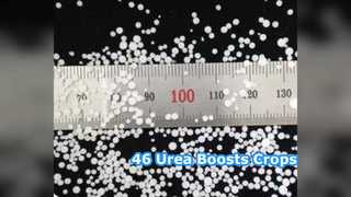 부스트 작물: 농부를 위한 요소 비료 46%